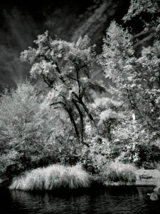 Beaver Creek Majesty